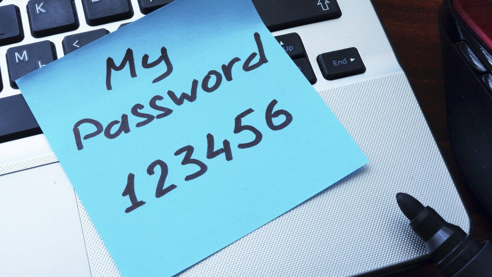 best place for brazzers passwords best place for brazzers passwords